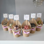 Load image into Gallery viewer, 3" Biodegradable Pot with Burlap
