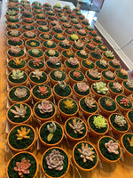 Load image into Gallery viewer, Succulent Clay Favours
