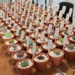 Load image into Gallery viewer, Succulent Clay Favours
