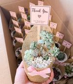 Load image into Gallery viewer, 3" Biodegradable Pot with Burlap
