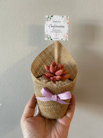 Load image into Gallery viewer, 3" Biodegradable Pot with Burlap

