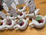 Load image into Gallery viewer, Teapot with Succulent
