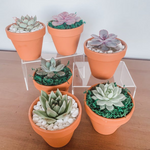 Load image into Gallery viewer, succulent clay favours
