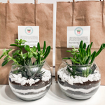 Load image into Gallery viewer, succulent glass terrarium
