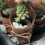 Load image into Gallery viewer, succulent burlap favour
