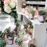 Load image into Gallery viewer, succulent burlap favour
