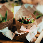 Load image into Gallery viewer, burlap succulent favour
