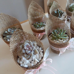 Load image into Gallery viewer, burlap succulent favour
