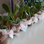 Load image into Gallery viewer, succulent burlap favour
