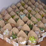 Load image into Gallery viewer, succulent burlap favour
