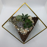 Load image into Gallery viewer, geometric succulent terrarium
