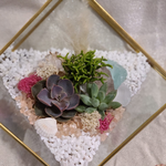 Load image into Gallery viewer, geometric succulent terrarium
