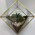 Load image into Gallery viewer, geometric succulent terrarium

