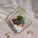 Load image into Gallery viewer, geometric succulent terrarium
