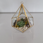 Load image into Gallery viewer, geometric succulent terrarium
