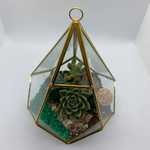 Load image into Gallery viewer, geometric succulent terrarium
