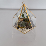 Load image into Gallery viewer, geometric succulent terrarium
