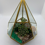 Load image into Gallery viewer, geometric succulent terrarium
