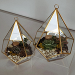 Load image into Gallery viewer, geometric succulent terrarium
