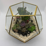 Load image into Gallery viewer, geometric succulent terrarium
