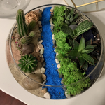 Load image into Gallery viewer, succulent flat bowl glass terrarium
