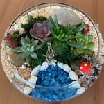 Load image into Gallery viewer, succulent flat bowl glass terrarium

