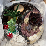 Load image into Gallery viewer, succulent flat bowl glass terrarium
