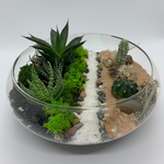 Load image into Gallery viewer, succulent flat bowl glass terrarium
