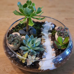Load image into Gallery viewer, succulent flat bowl glass terrarium
