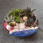 Load image into Gallery viewer, succulent flat bowl glass terrarium
