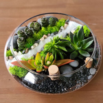 Load image into Gallery viewer, succulent flat bowl glass terrarium
