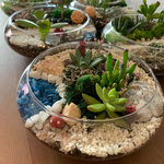 Load image into Gallery viewer, succulent flat bowl glass terrarium
