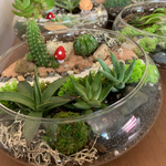 Load image into Gallery viewer, succulent flat bowl glass terrarium
