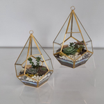 Load image into Gallery viewer, geometric succulent terrarium
