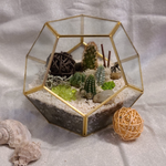 Load image into Gallery viewer, geometric succulent terrarium
