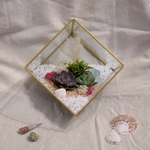 Load image into Gallery viewer, geometric succulent terrarium
