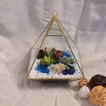 Load image into Gallery viewer, geometric succulent terrarium
