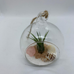 Load image into Gallery viewer, air plant glass globe terrarium
