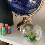 Load image into Gallery viewer, air plant glass globe terrarium
