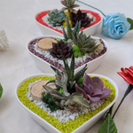 Load image into Gallery viewer, succulent heart arrangement
