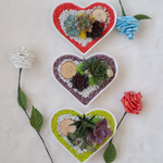Load image into Gallery viewer, succulent heart arrangement
