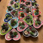Load image into Gallery viewer, succulent heart arrangement
