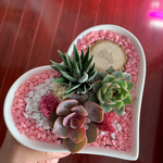 Load image into Gallery viewer, succulent heart arrangement
