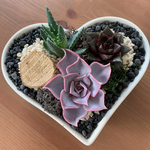 Load image into Gallery viewer, succulent heart arrangement
