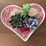 Load image into Gallery viewer, succulent heart arrangement
