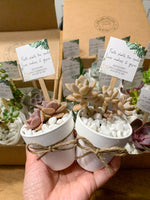 Load image into Gallery viewer, succulent clay pot favours
