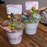 Load image into Gallery viewer, Tin Pail Succulent Arrangement
