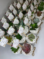 Load image into Gallery viewer, succulent clay pot favours
