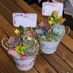 Load image into Gallery viewer, Tin Pail Succulent Arrangement
