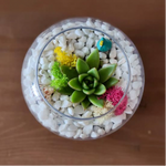 Load image into Gallery viewer, DIY terrarium kit
